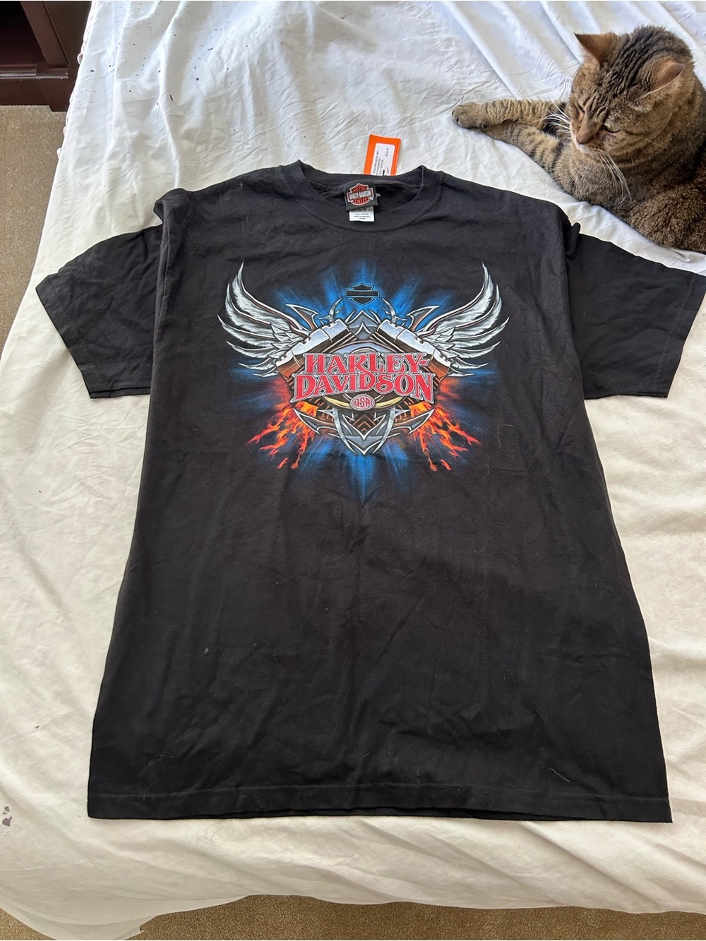 Harley-Davidson Men’s Black Graphic Logo T-Shirt